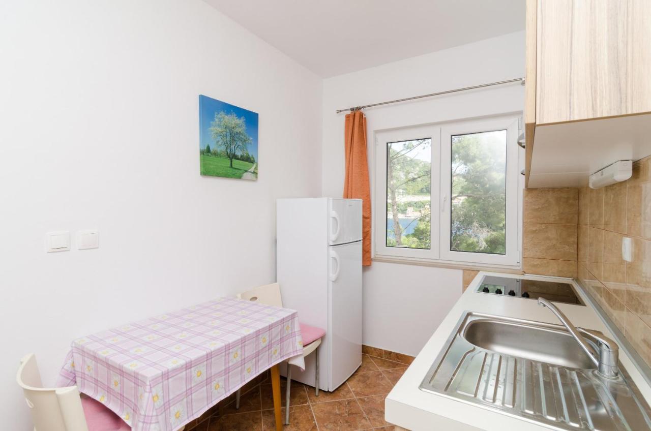 Apartments Vinko Sobra Rum bild